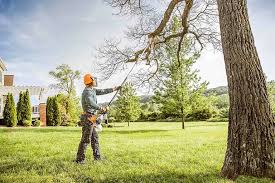 Best Commercial Tree Services  in Jenison, MI